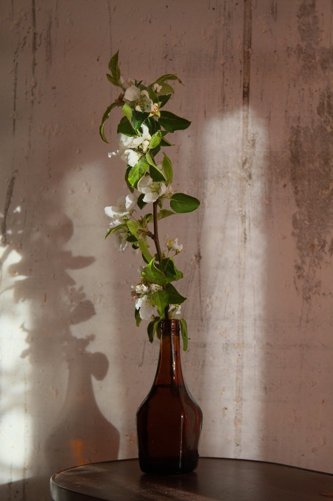 Photograph by Ольга Корчагина