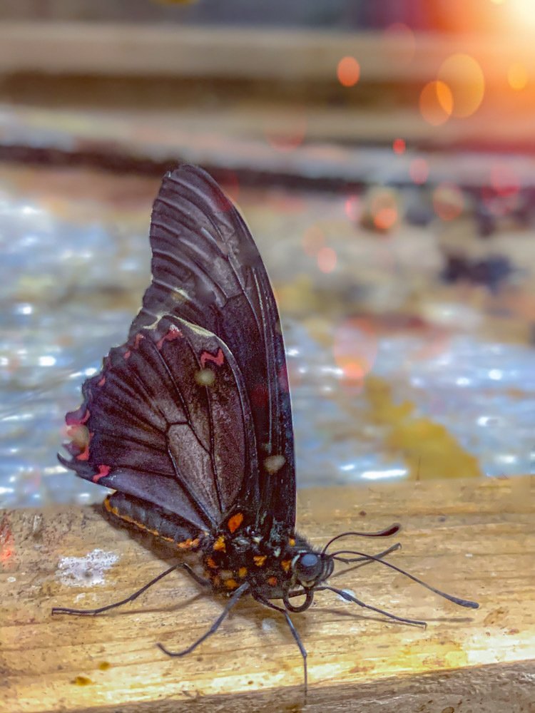 Photograph by Марина Хавронина