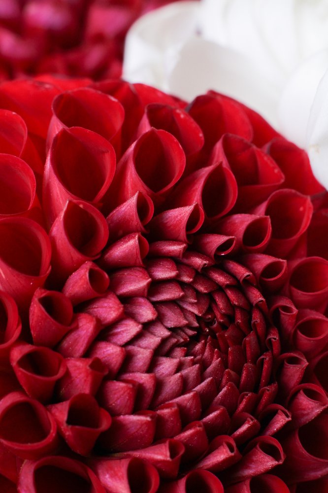 Photograph by Анастасия Сосновская