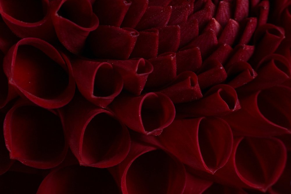 Photograph by Анастасия Сосновская