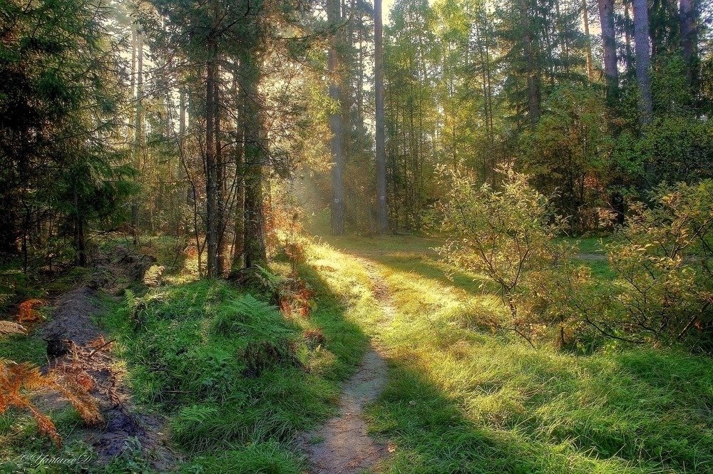 Photograph by Дмитрий Янтарев