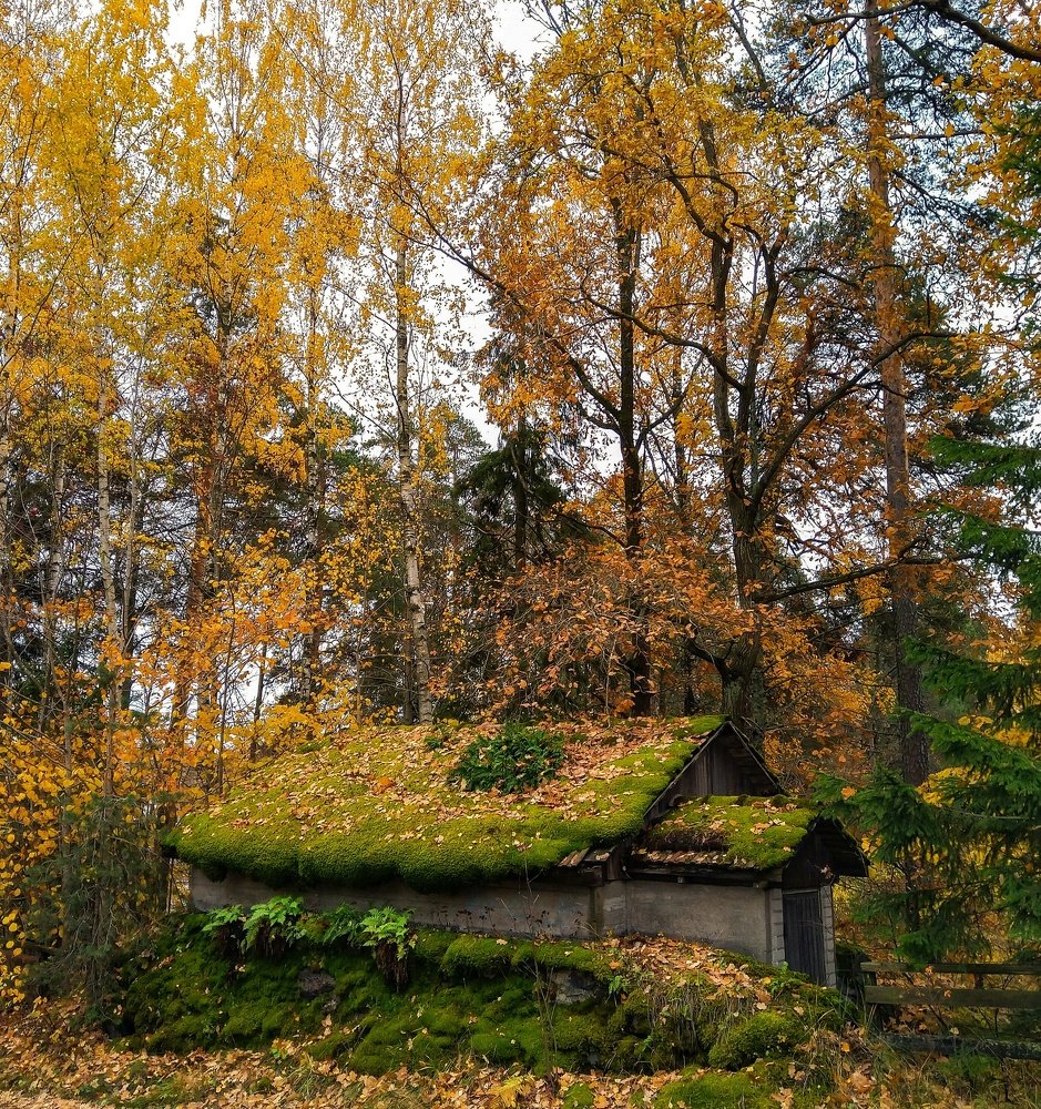 Photograph by Виталий Головащенко