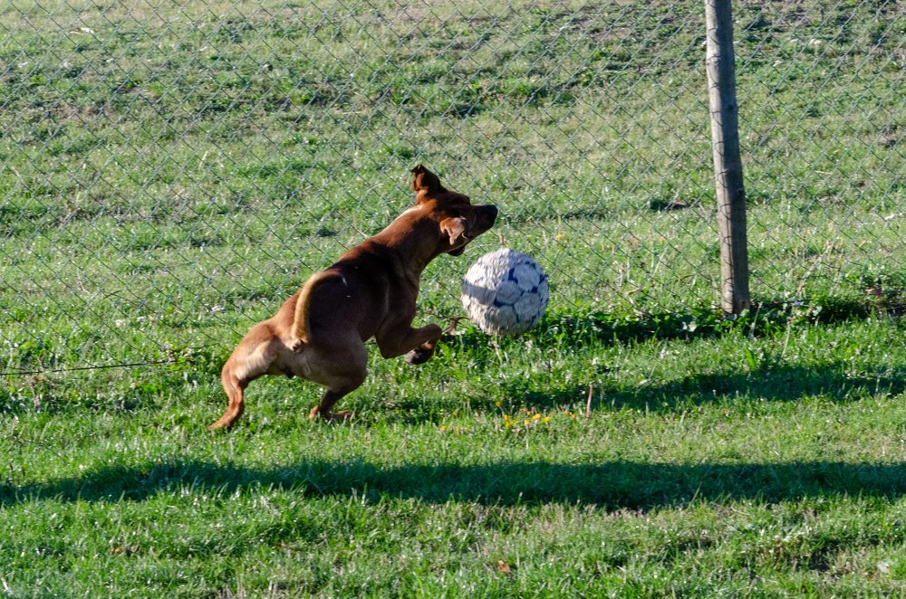 Фотография автора Muhammad Haris