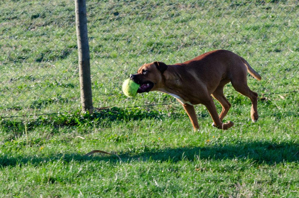 Фотография автора Muhammad Haris
