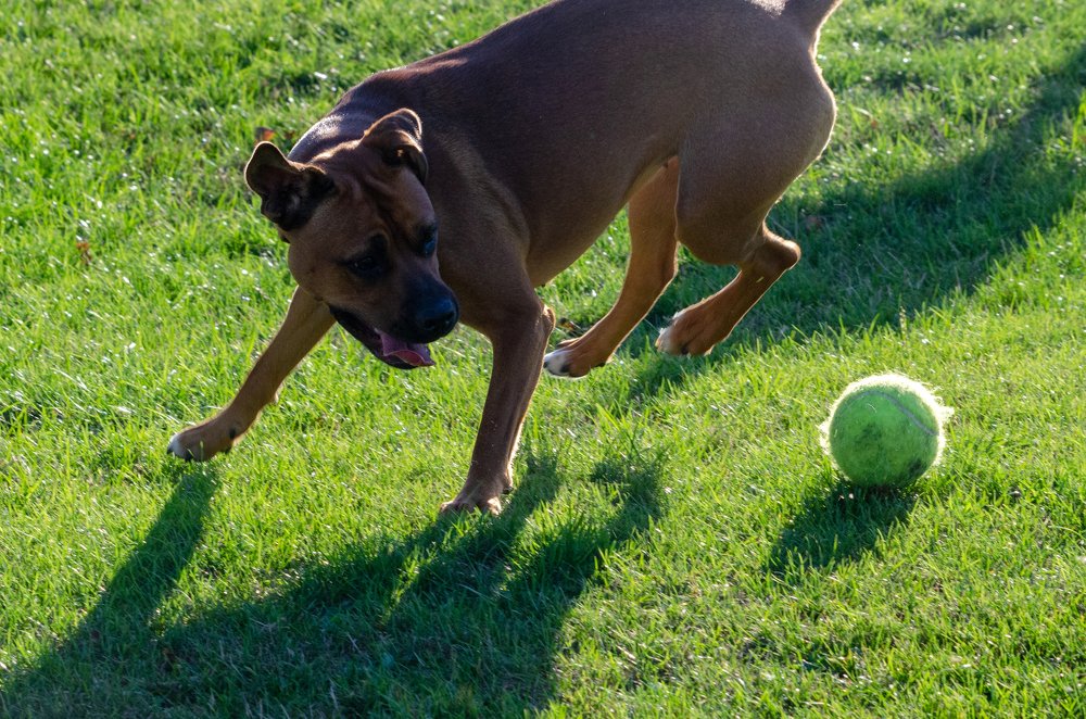 Фотография автора Muhammad Haris