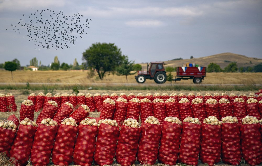 Photograph by Ibrahim Aysündü