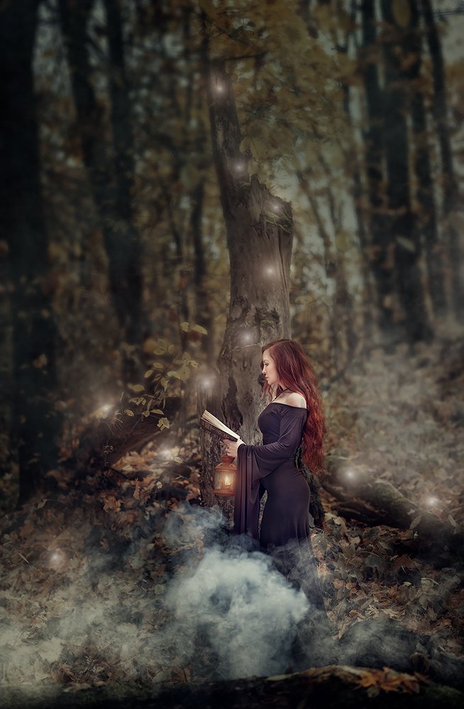 Волшебный лес.