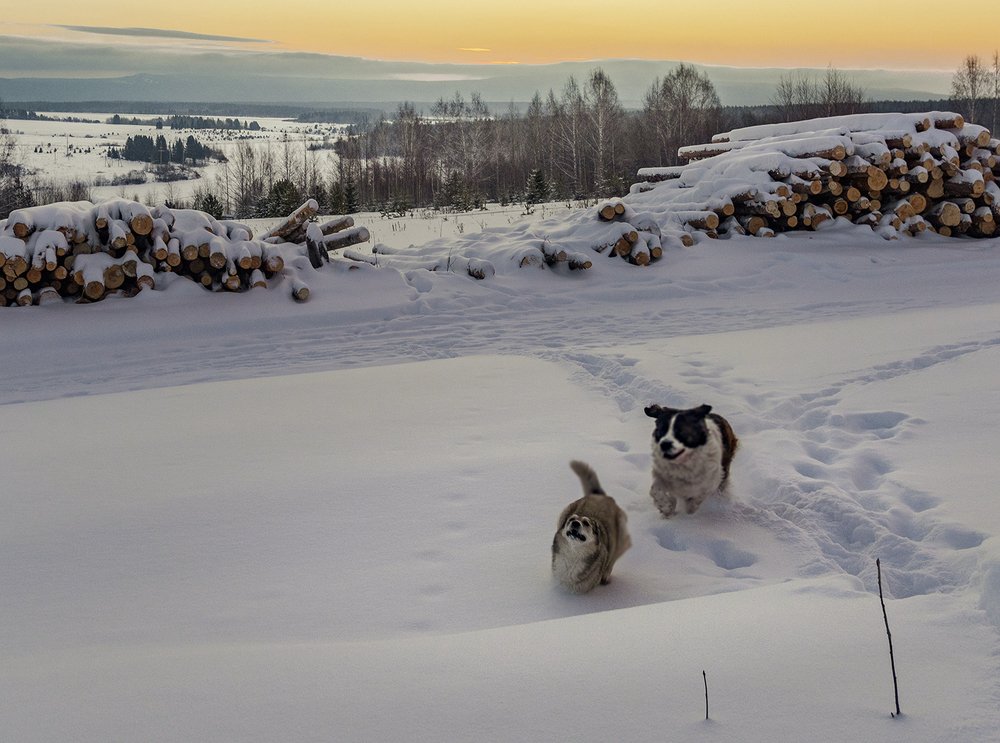 Фотография автора Александр  Швачко