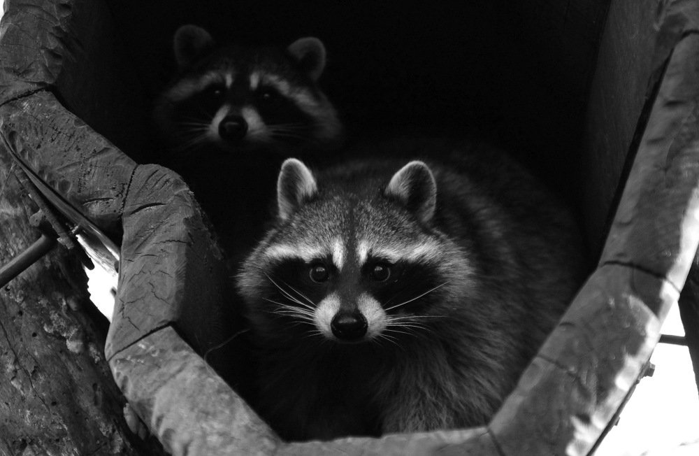 Photograph by Виктор Игнатенко.