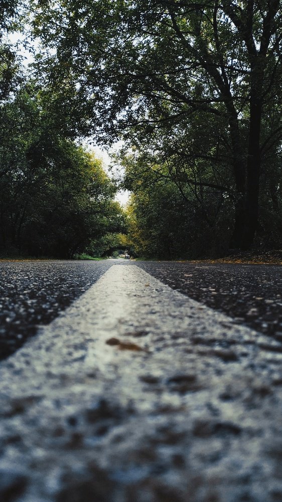 Photograph by Адель Магаева