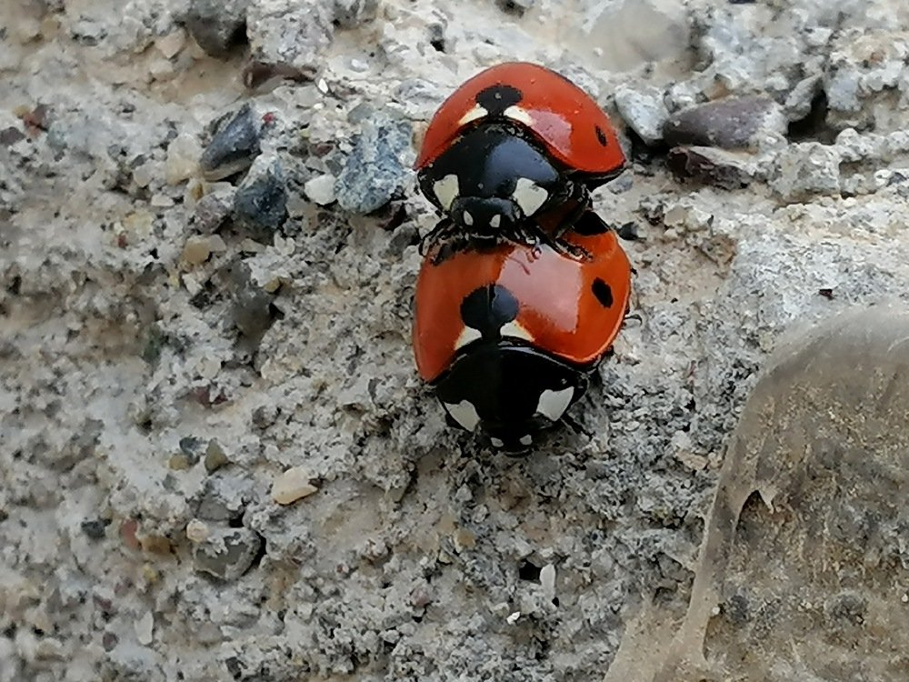 Photograph by Bestoon Saleh