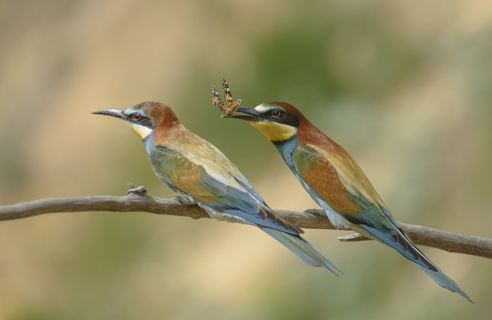 Все для тебя...