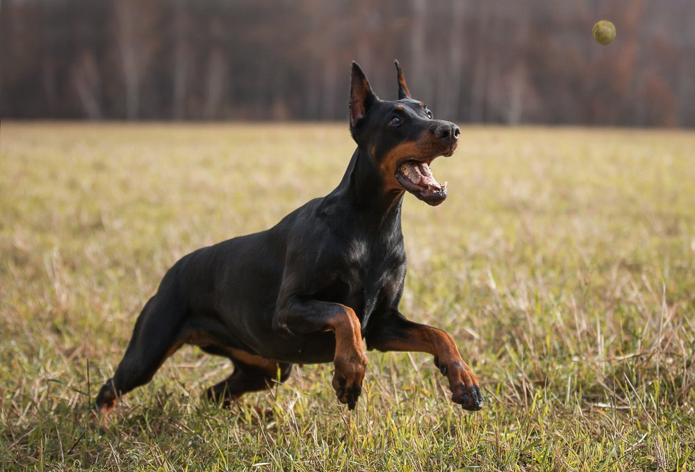 Photograph by Баранов Олег