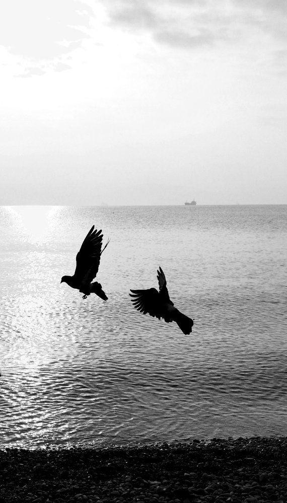 Photograph by Инна Великанова