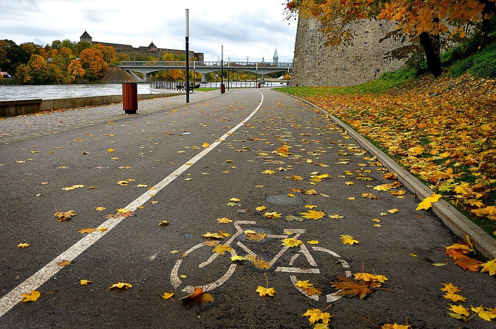 Осенняя велодорожка