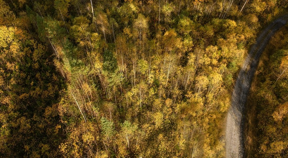 Photograph by Марина Фомина