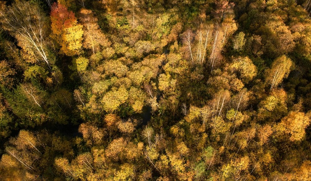 Photograph by Марина Фомина