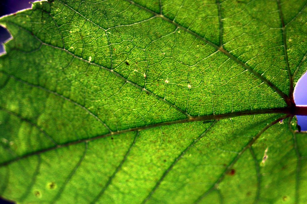 Photograph by Luana Popa