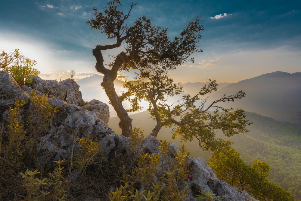 Photograph by Иван Федянин