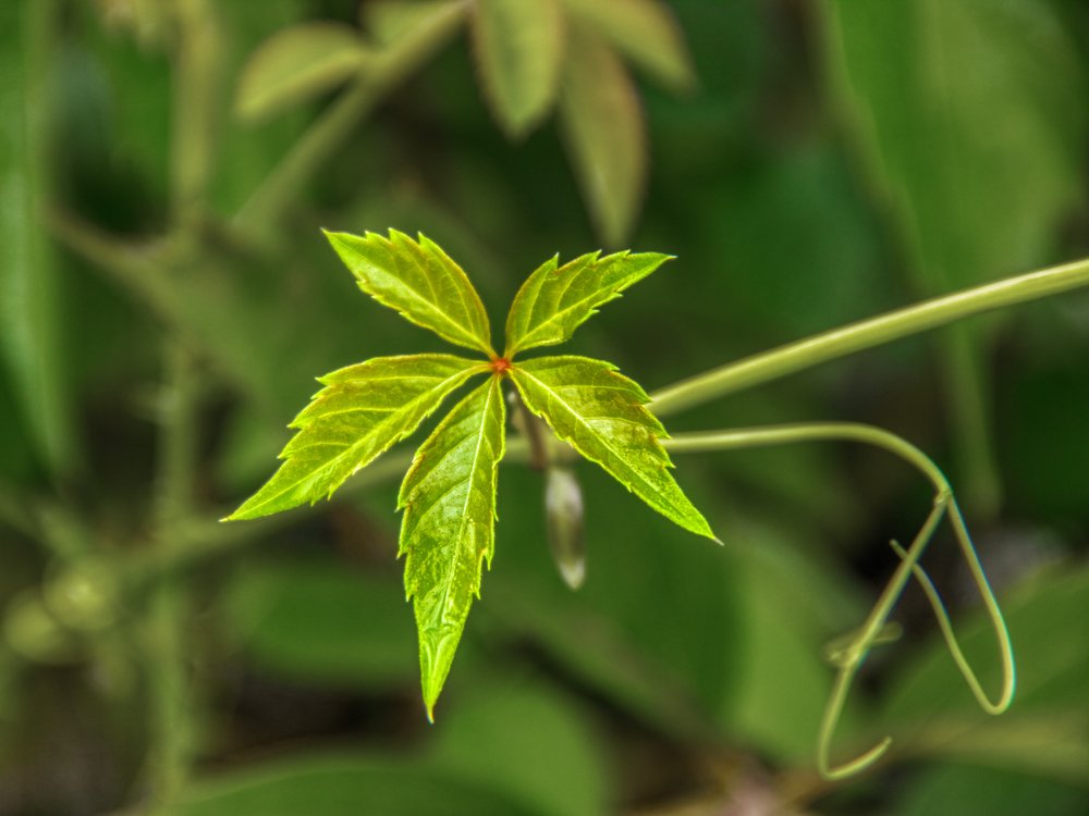 Photograph by Victor Pruhnitskiiy