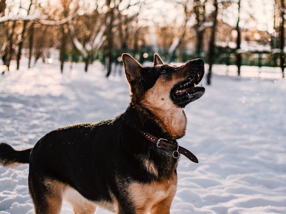 Photograph by Каталина Иванова