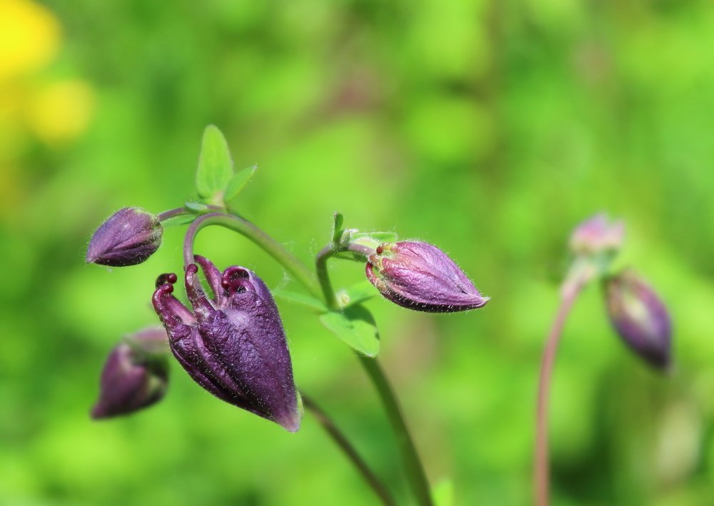 Photograph by Нина Титенкова