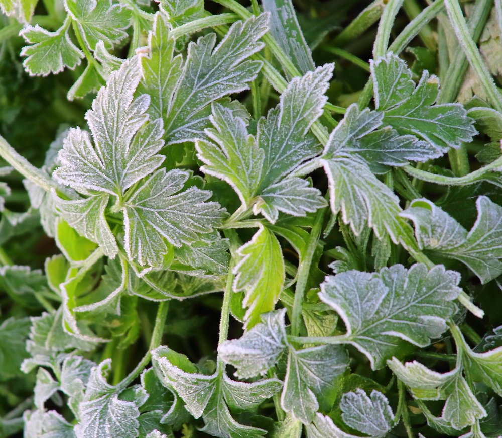 Photograph by Нина Титенкова