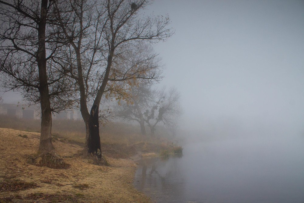 Photograph by Анна Вязникова