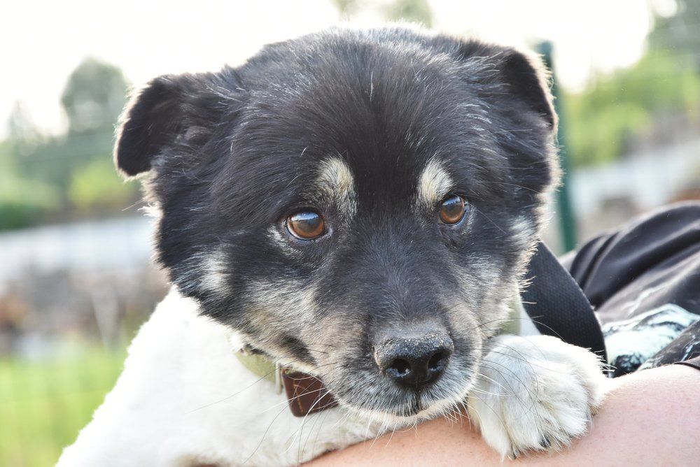 Photograph by Елена Куннова