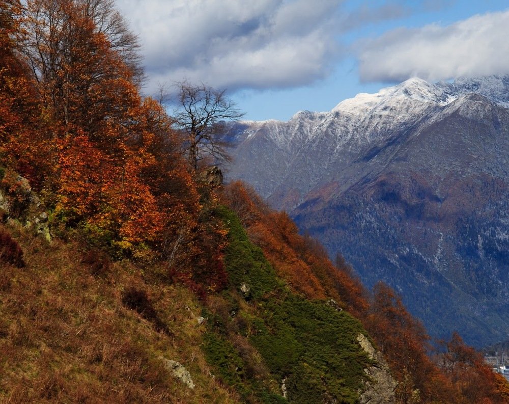 Photograph by Газетдинов Айрат