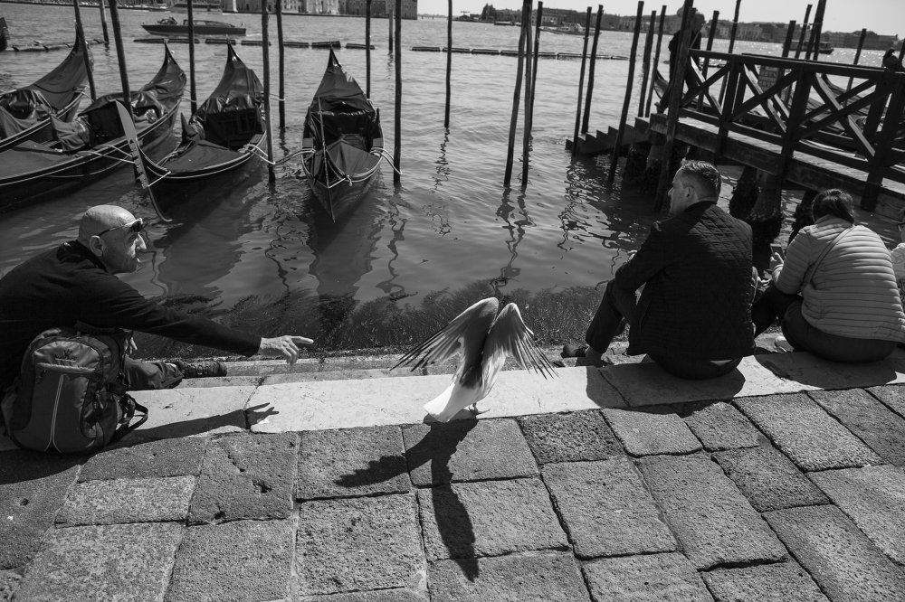 Из цикла «Венецианские хроники»