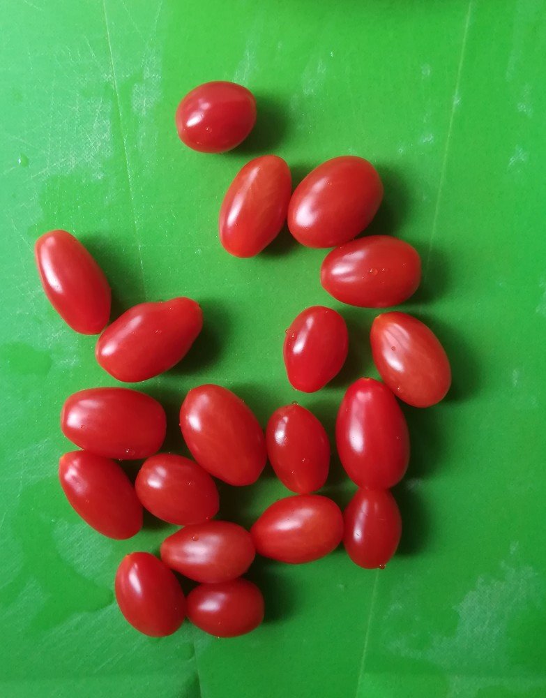 Photograph by Марианна Колесникова