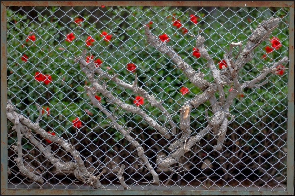 Photograph by Газетдинов Айрат