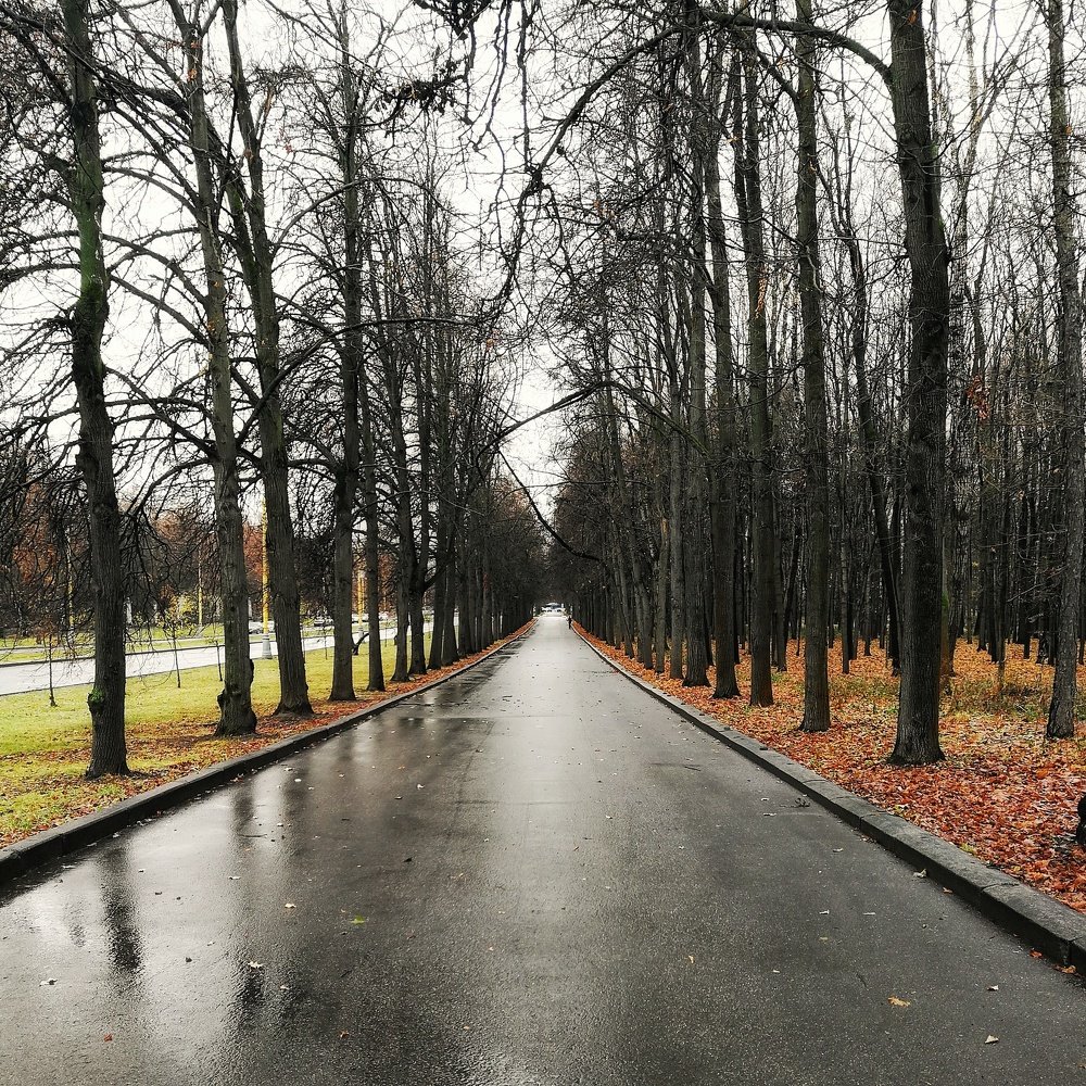 Заходила Осень...