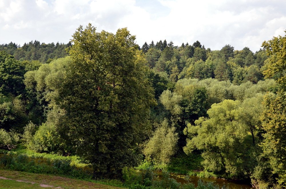 Углубиться в себя и наслаждаться тишиной