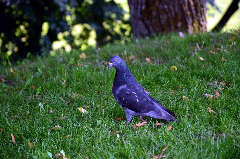 Photograph by Юрий Подвойский