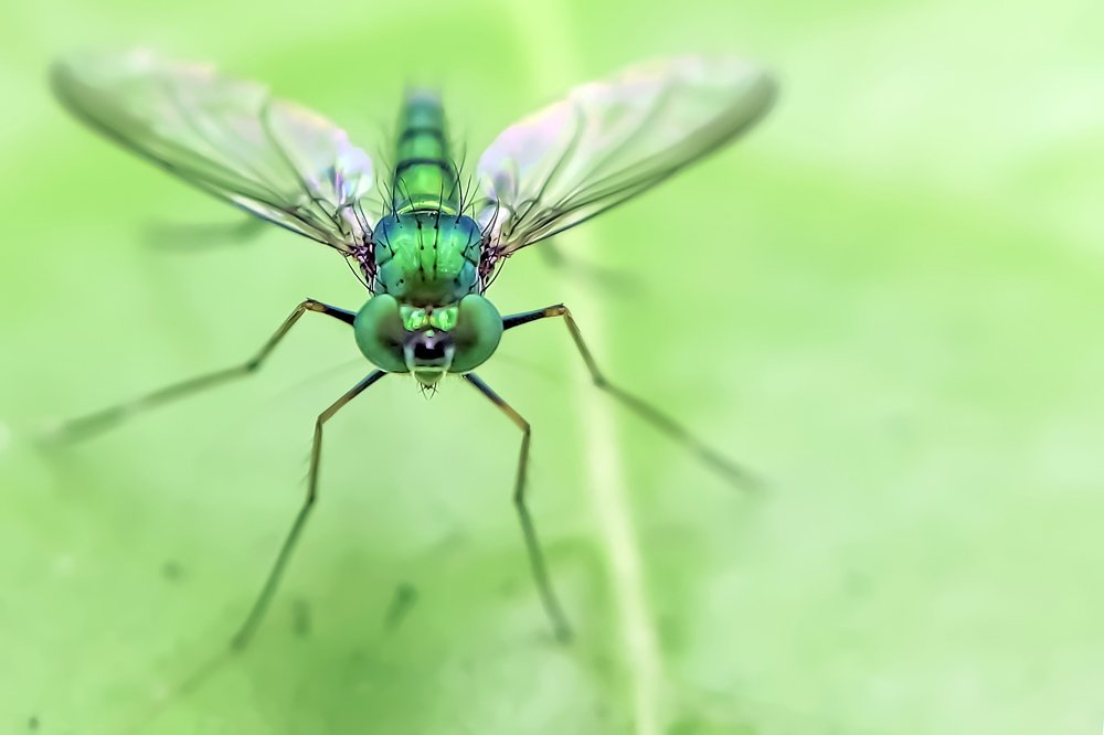 Фотография автора NeCoTi ChonTin