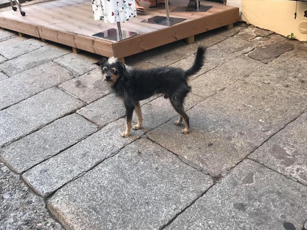 Photograph by Victor Movila