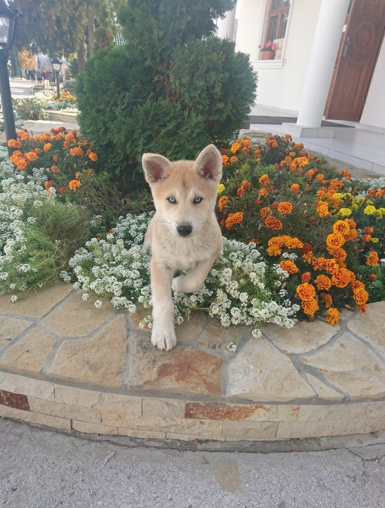 Photograph by Victor Movila