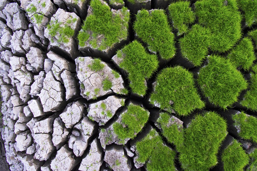 Photograph by Prianto Agus