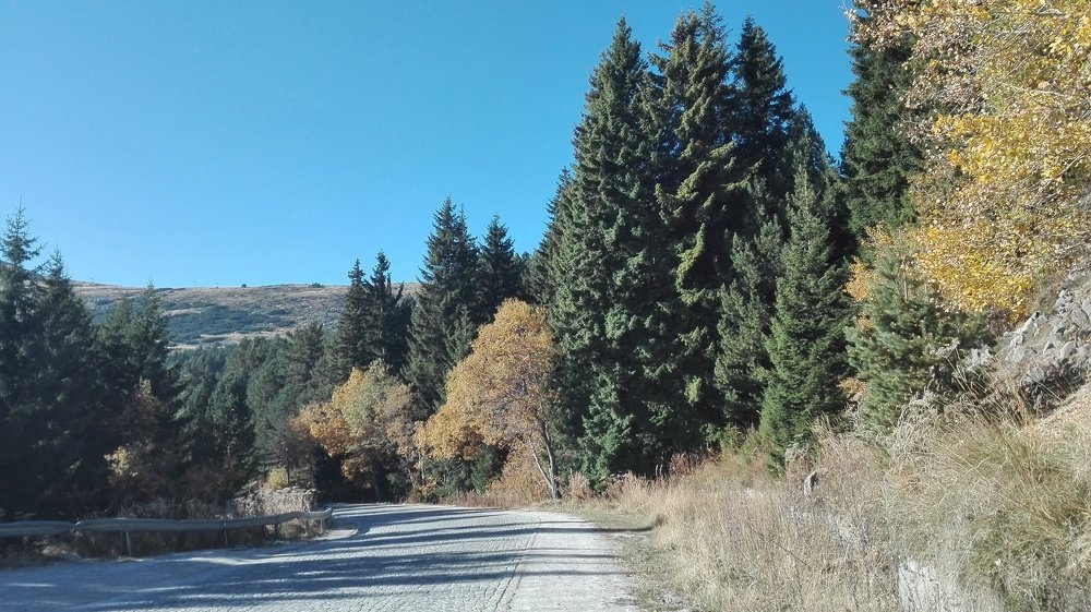 Photo #3766999