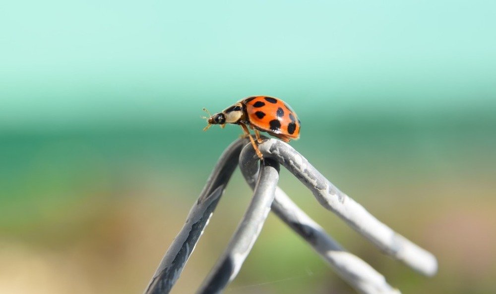 Photograph by Валерия Константинова