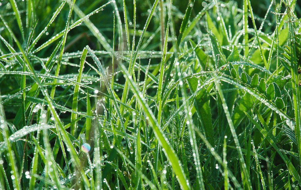 Photograph by Сергей Шварцман