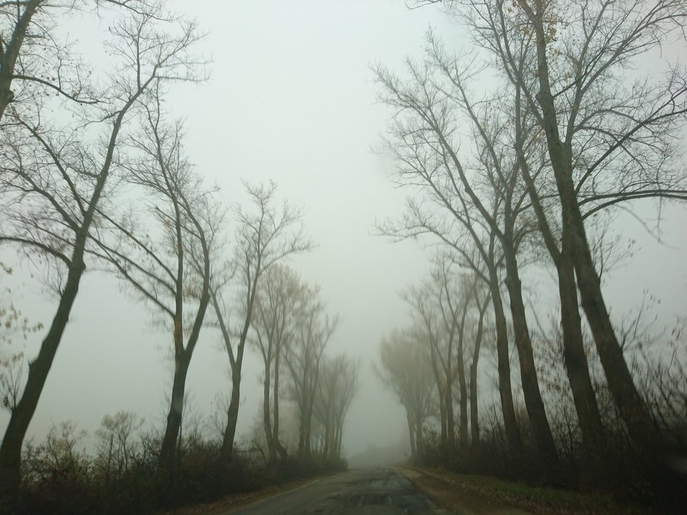 Photograph by Victor Movila