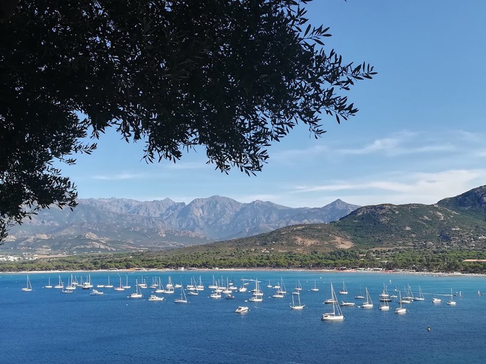 Photograph by Victor Movila