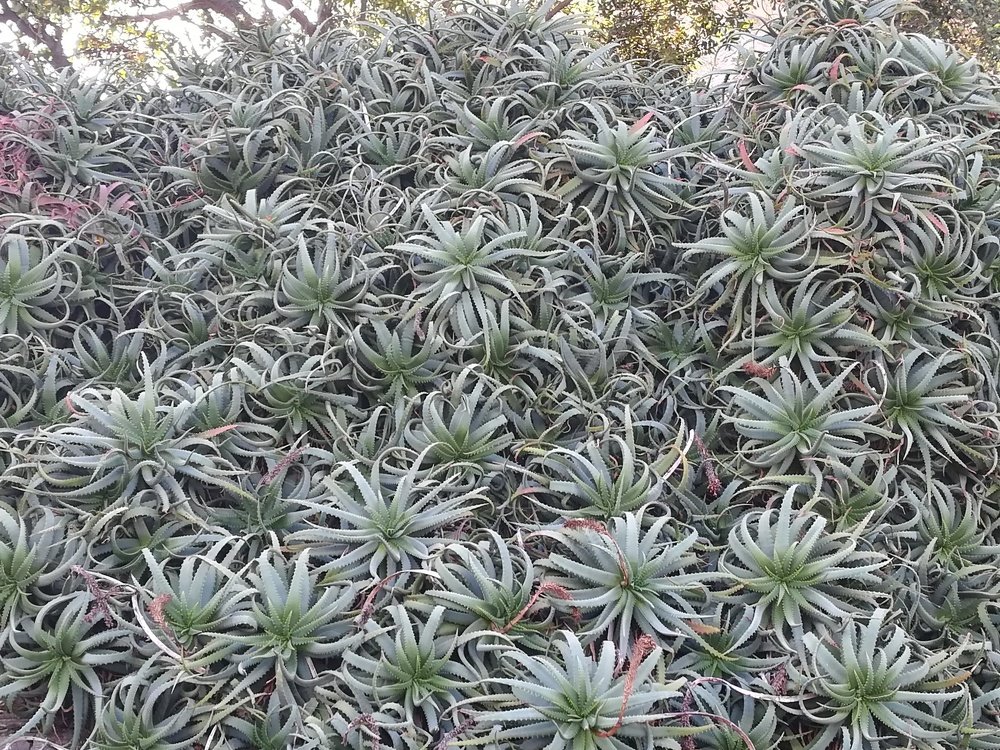 Photograph by Victor Movila