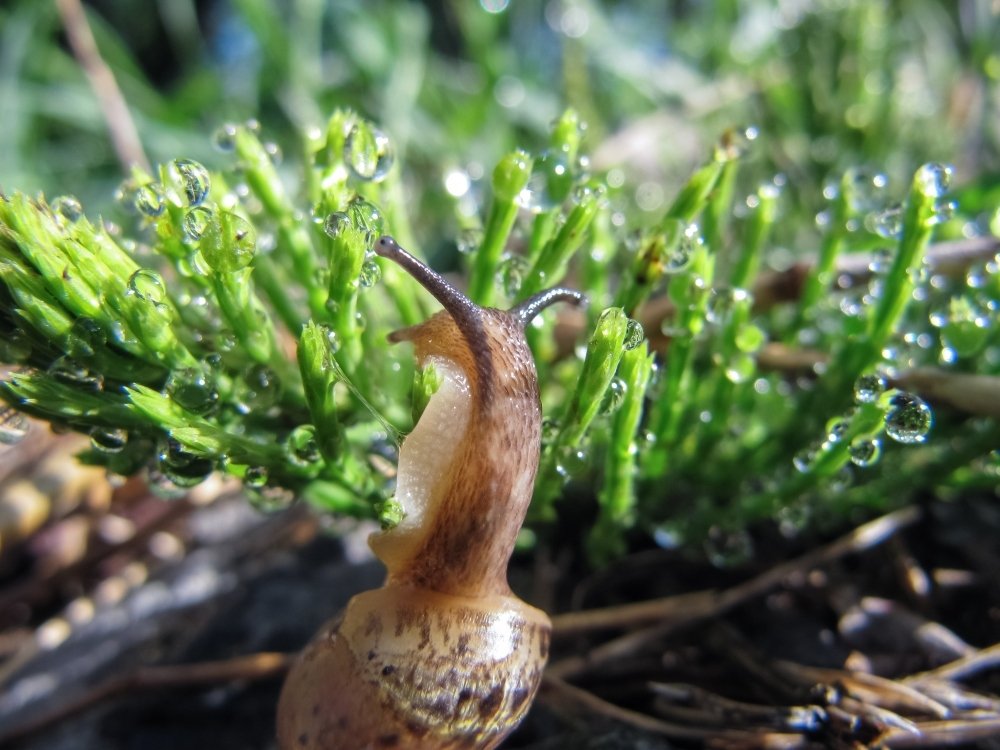 Photograph by Андрей