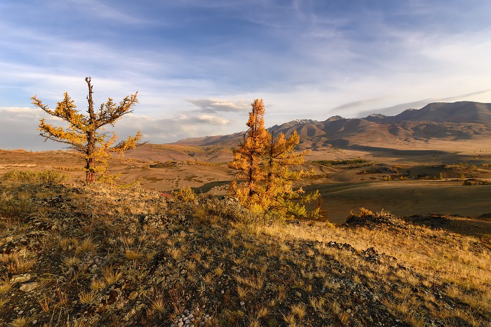 Осень в Курае...