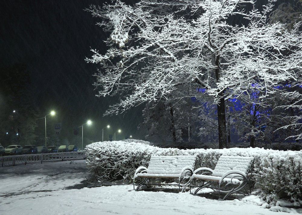 Ночные огни