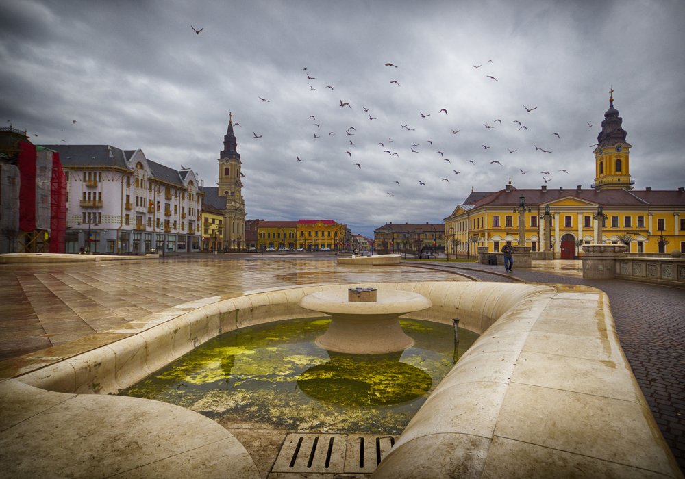 Photograph by Mihai Romeo Bogdan